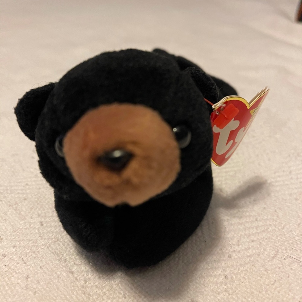 Ty Beanie Baby Bear named Blackie